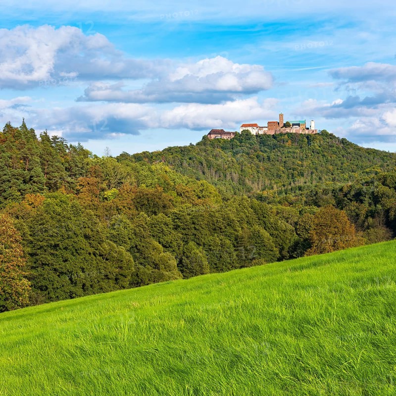 View across a green meadow to Wartburg Castle in the Thuringian Forest, Eisenach, Thuringia, Germany
