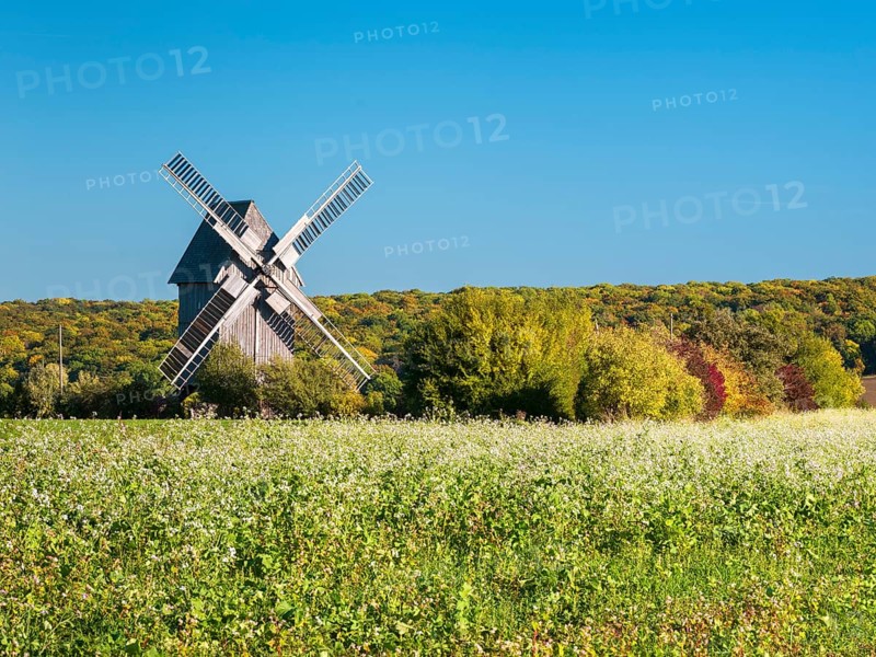 The trestle windmill of Krippendorf on the battlefield of 1806, near Jena, Thuringia, Germany