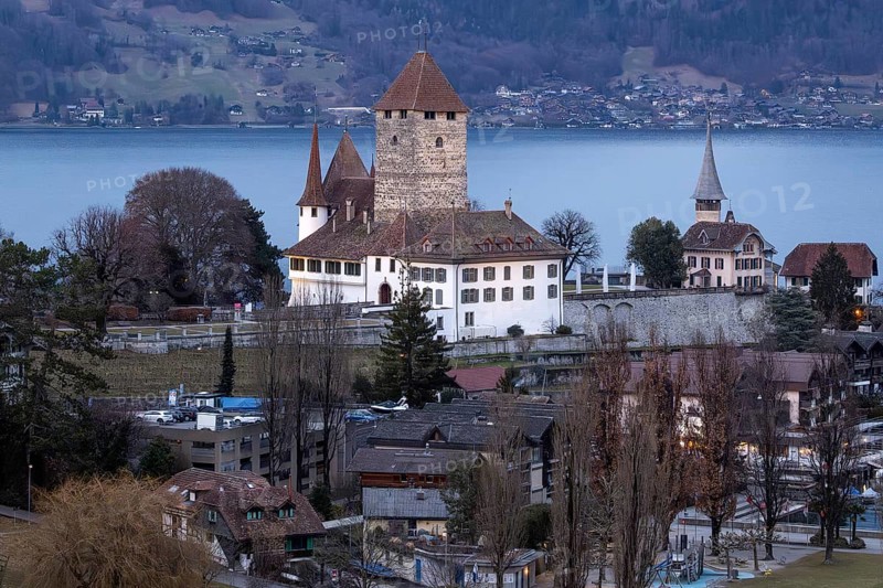 Castle with Lake Thun, Spiez, Switzerland