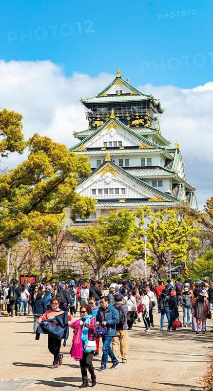 Osaka castle among trees in the park, visitors in Osaka Castle Park, Chuo-ku, Osaka, Japan