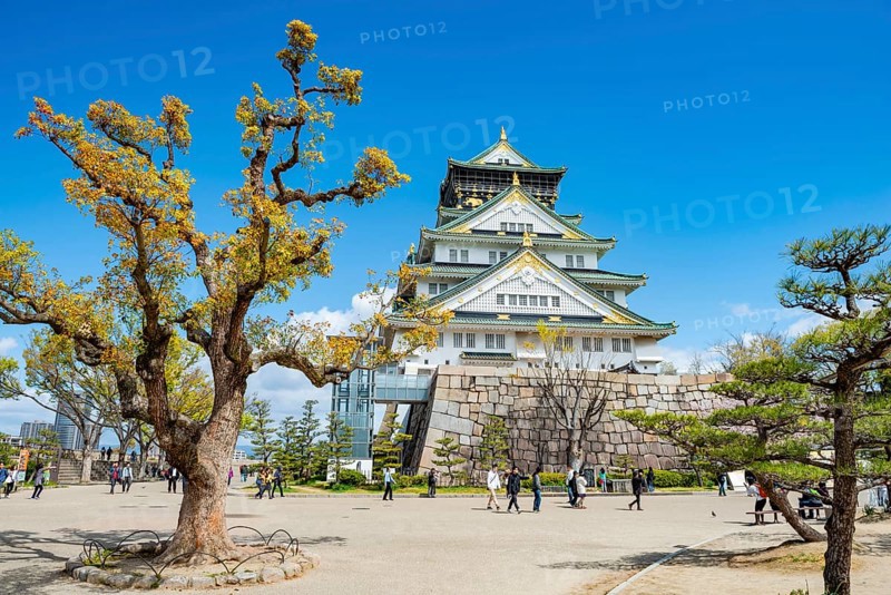 Osaka castle among trees in the park, visitors in Osaka Castle Park, Chuo-ku, Osaka, Japan