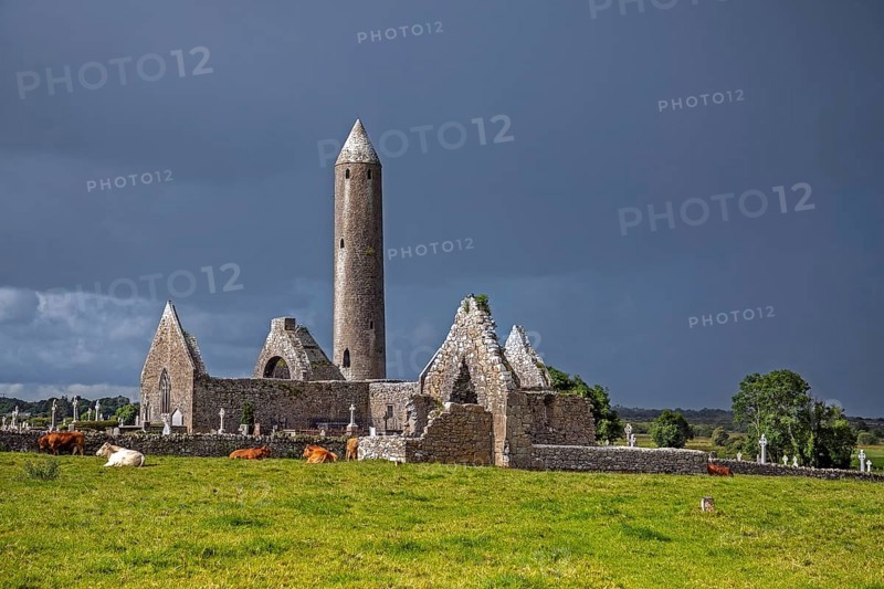 Kilmacduagh / Cill Mhic Dhuach monastery, ruined abbey and cathedral, 12th century round tower and graveyard near Gort, south County Galway, Ireland