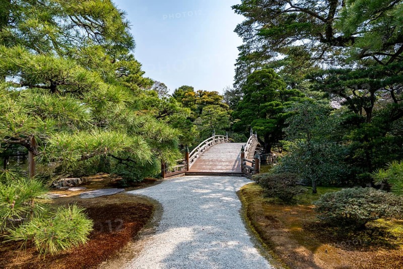 Keyaki Zelkova Bridge in Oikeniwa Garden, Kyoto Imperial Palace, Kyoto Gyoen, Kyoto, Japan