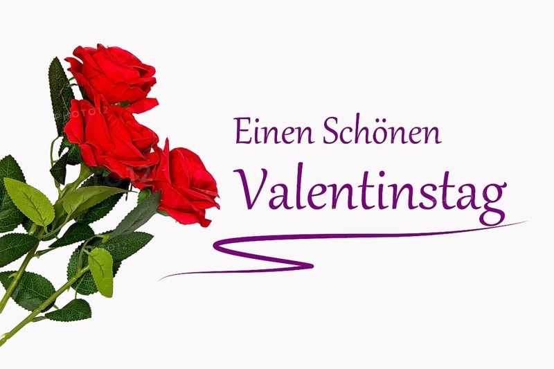 Valentine greetings: roses and text HAPPY VALENTINE'S DAY on a white background