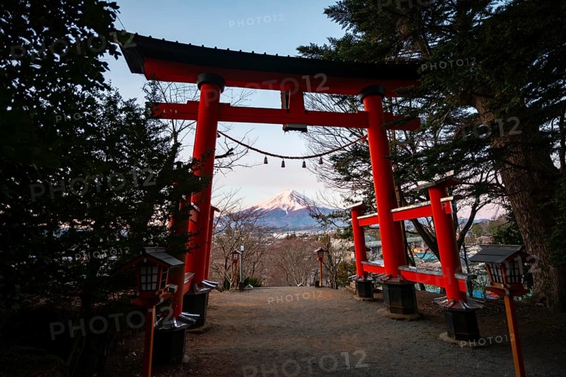 View through red torii of Mount Fuji volcano at sunrise, Arakura Fuji Sengen Shrine, Arakurayama Sengen Park, Yamanashi Prefecture, Japan