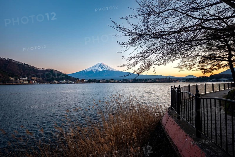 Kawaguchi Lake waterfront, view of Mount Fuji volcano at sunset, Yamanashi Prefecture, Japan