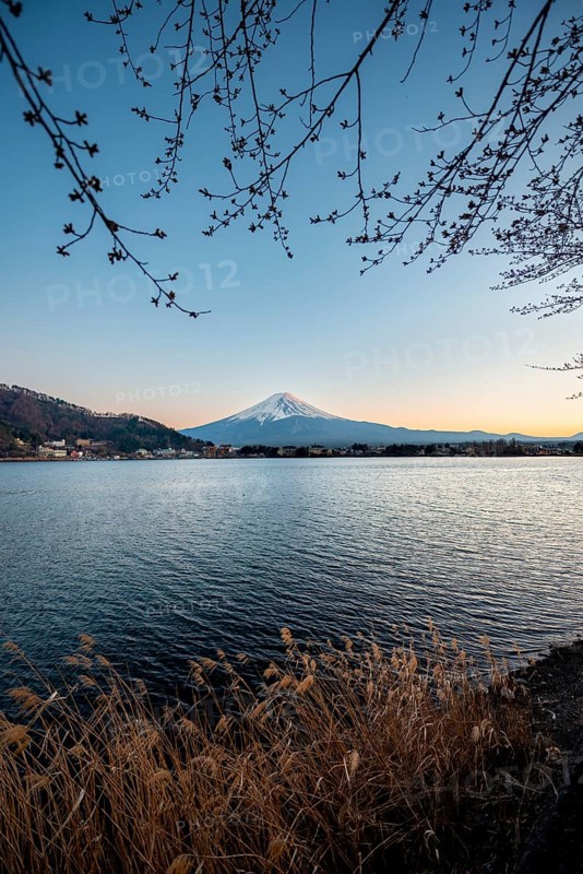 Lake Kawaguchi, view of Mount Fuji volcano at sunset, Yamanashi Prefecture, Japan
