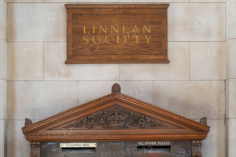 Linnean Society of London wooden plaque, Burlington House, Piccadilly, London, England, Great Britain