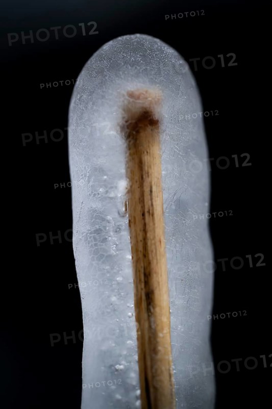 Reed stalks wrapped in transparent ice, Korpoström, Korpo or Korppo, southwestern archipelago, Finland