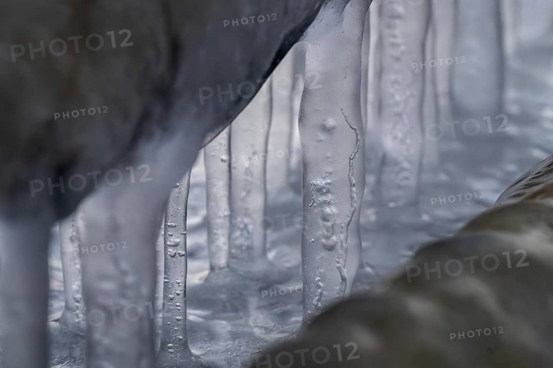 Close-up of ice structures and icicles, winter, Korpoström, Korpo or Korppo, southwestern archipelago, Finland