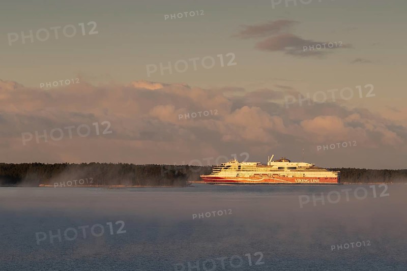 Large Viking Line ferry sails on the calm sea near a wooded shore at sunrise, Korpoström, Korpo or Korppo, Southwestern Archipelago, Finland