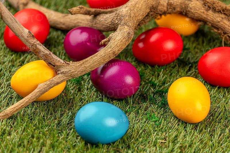 Colourful easter eggs and natural branches on green grass
