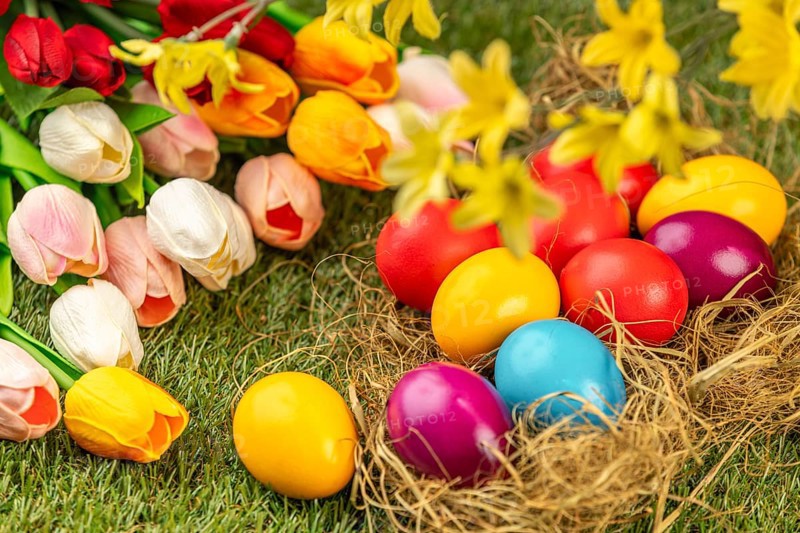 Colorful Easter eggs in a nest with surrounding tulips and spring flowers