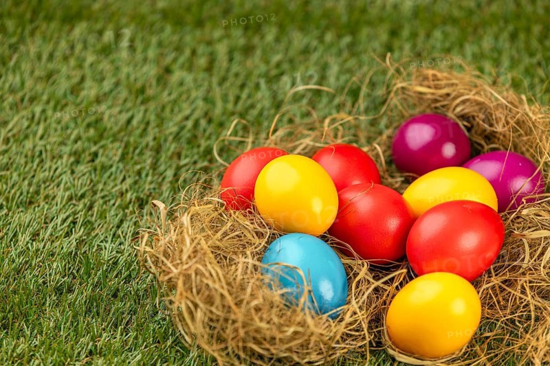 Colorful Easter eggs in a straw nest on green grass