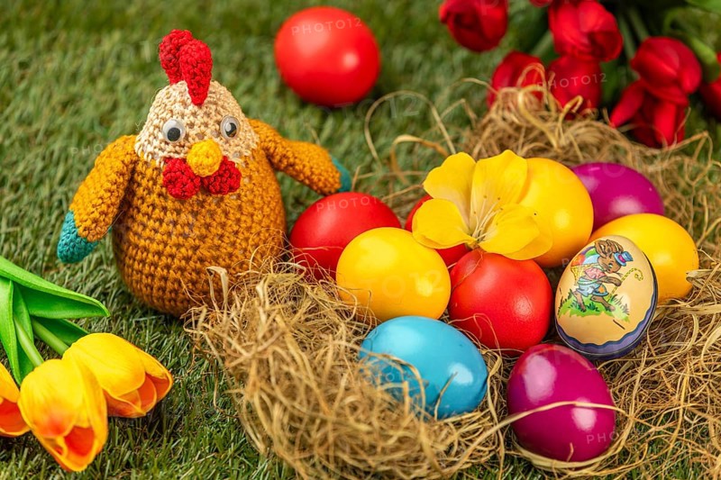 Crocheted chicken and colorful easter eggs with tulips on green grass