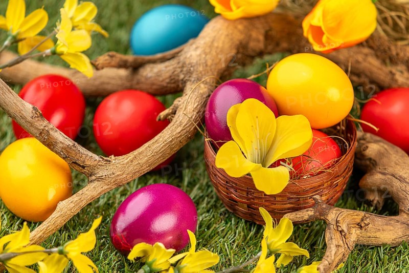 Colourful Easter eggs in and around a small basket, branches and blossoms on grass