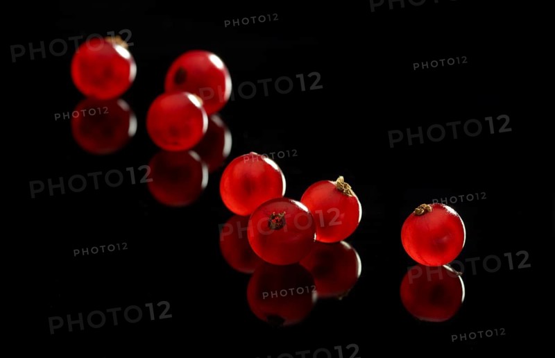 Individual red currants (Ribes rubrum) against a black background, studio shot