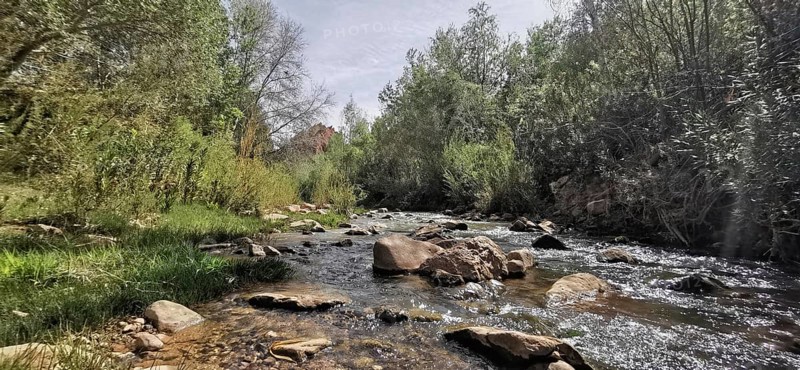Peaceful wilderness with a clear river surrounded by trees and lush vegetation, Morocco