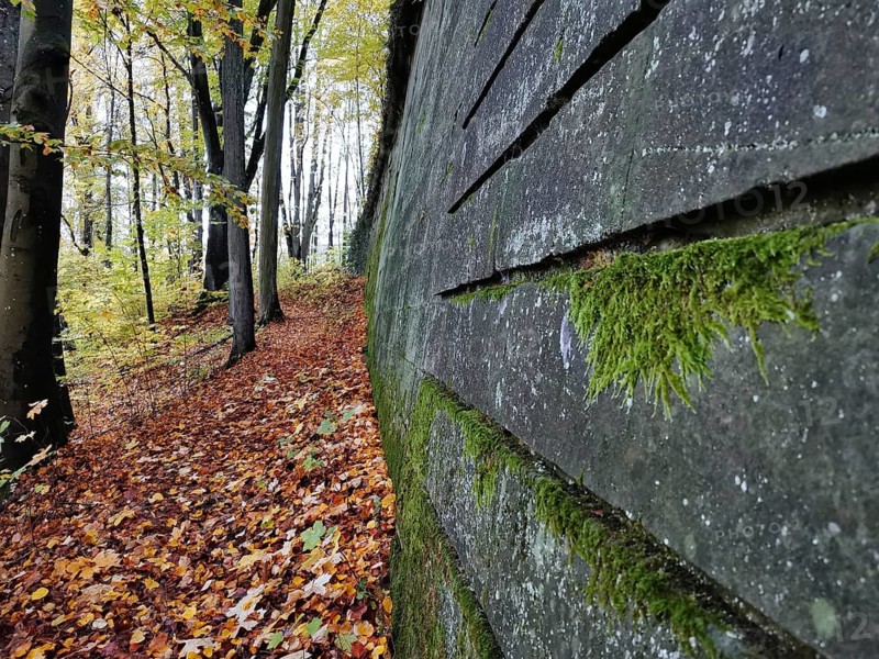 A path in autumn forest along a mossy wall, fortress surrounded by colorful foliage, Franconian Forest nature park Park