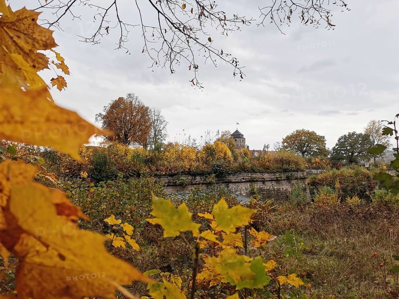View through autumn leaves of trees and a fortress in the background, Rosenberg Fortress, Kronach, Frankenwald nature park Park