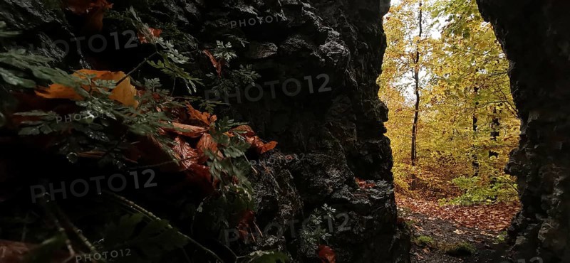 View from a dark cave of bright autumn leaves and trees, Franconian Forest nature park Park