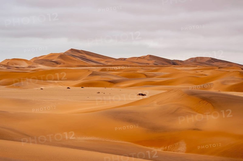 Sand dunes of the Namib Desert near Walvis Bay, Namibia