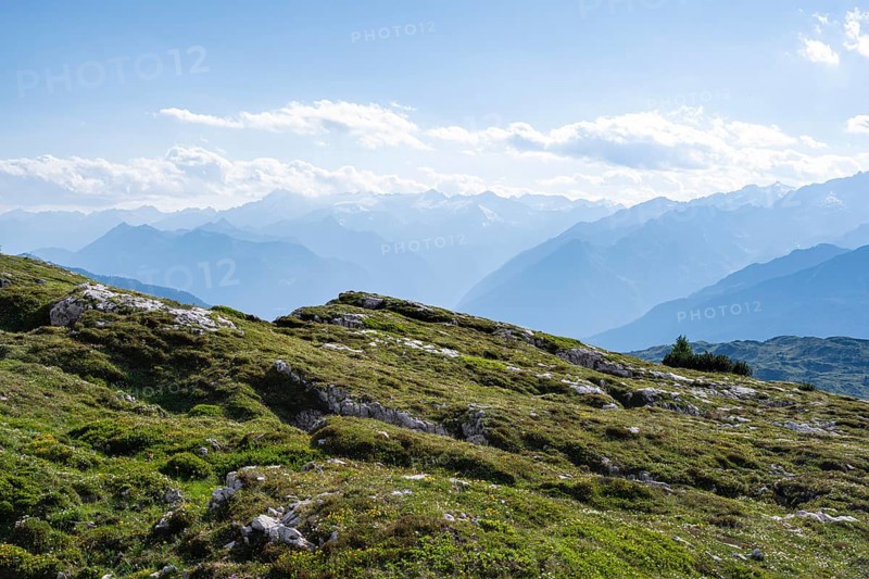 View of the Adamello Group from the Grosté Plateau, Brenta-Adamello Natural Park, Trentino, Italy