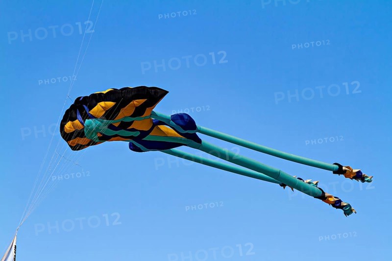 A colorful kite flies high in the blue sky in sunny conditions, a kite in the air