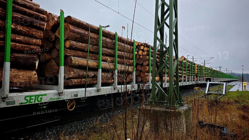 Removal of Franconian spruces (picea) destroyed by the bark beetle (Scolytinae) by goods train, train loaded with large logs on a track under grey skies, Franconian Forest nature park Park