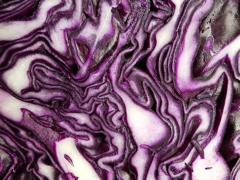 Vibrant pattern of bluegrass layers (Brassica oleracea) in purple and white