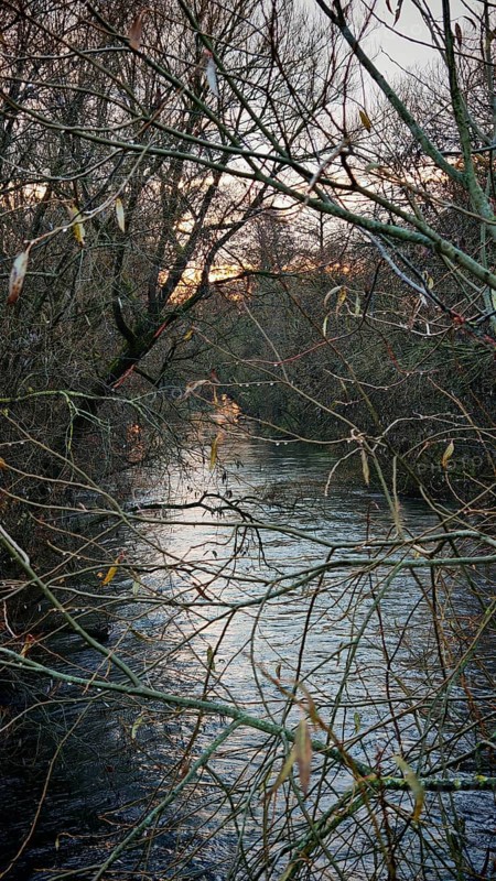 A quiet river flows through wintry branches in the light of sunset, atmospheric, Franconian Forest nature park Park