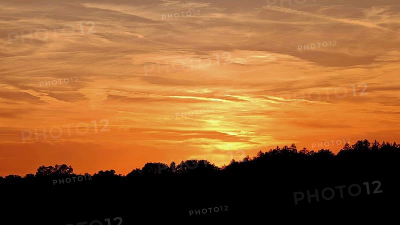 Orange sunset with silhouettes of trees and soft sky, Frankenwald nature park Park