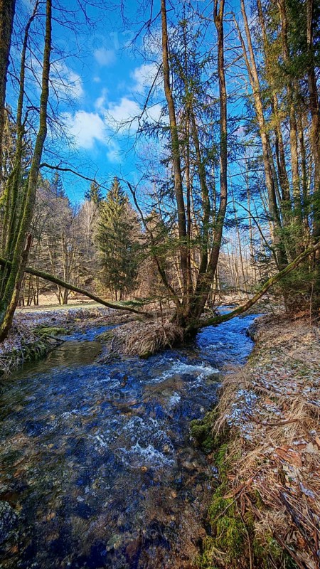 A clear stream flows through a forest under a blue sky, Frankenwald nature park Park
