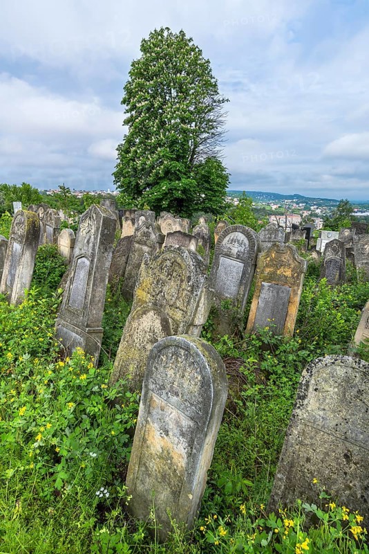 Historic Jewish Cemetery, since 1866, Czernowicz, Bukovina, Ukraine