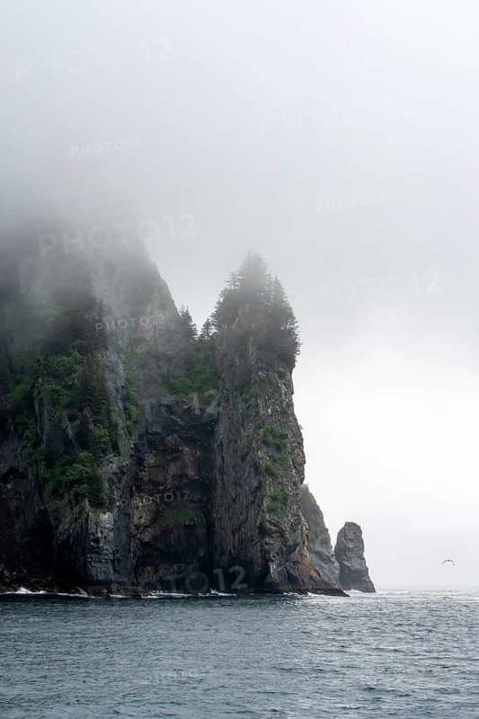 Mystical fog sweeps around rocky islands on the coast, Kenai Fjords National Park, Kenai Peninsula, Alaska, USA