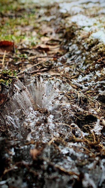 Ice structures grow in threads from the ground on snow and soil at close range, Frankenwald nature park Park