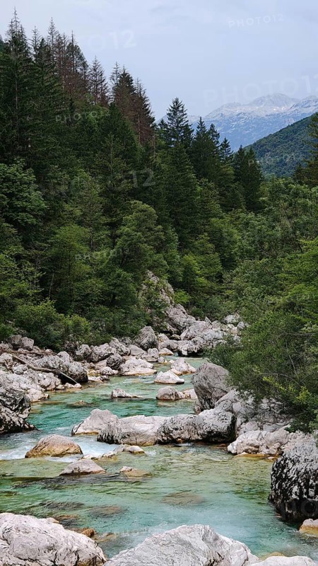 River flows over stones through a forest with mountains in the background, Soca Valley, Slovenia