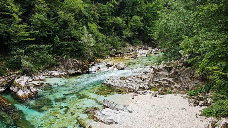 Clear river with rocks and green forest in the background, calming natural landscape, Soca valley, Slovenia