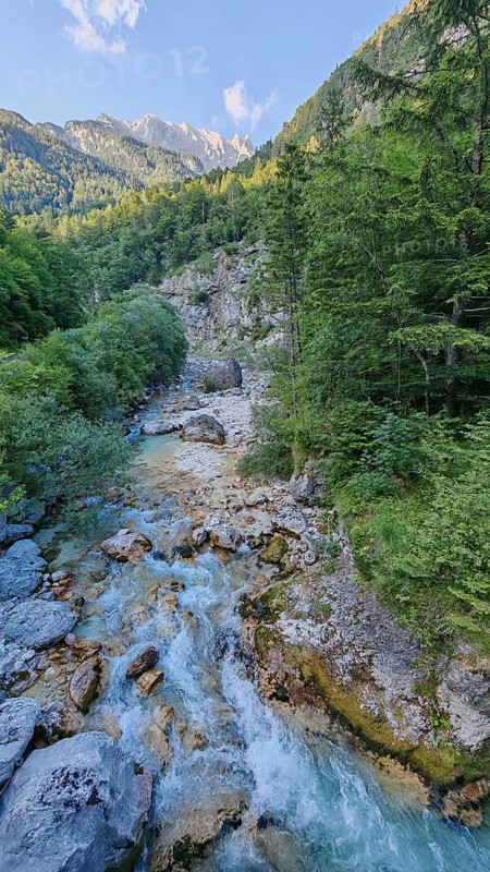 Stream flows through a wooded gorge with rocks, Soca Valley, Slovenia