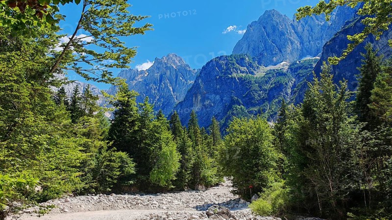Mountain scene with riverbed and dense forest under clear sky, Slovenia