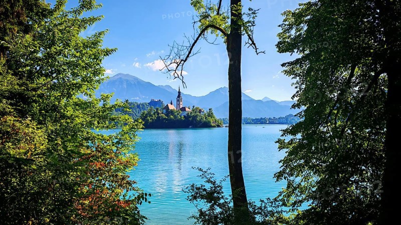 View of an island in Lake Bled with church and mountain panorama, Slovenia