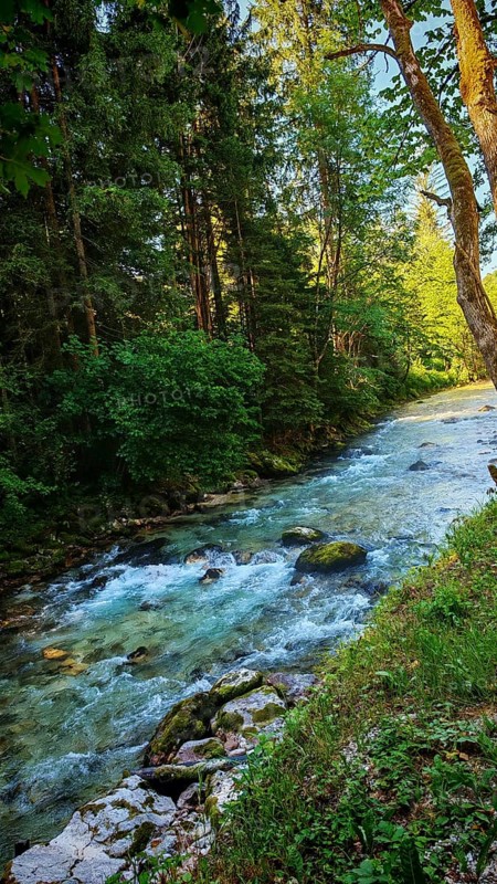 River flows through a green forest, Soca, Slovenia