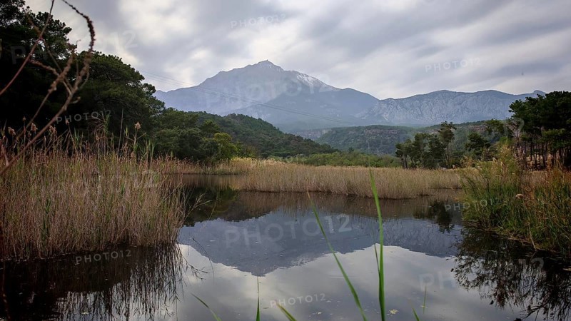 A calm lake reflects the Tahtali Dagi and surrounding mountains and clouds, surrounded by reeds (arundo) and aquatic plants, Lycia, Turkey