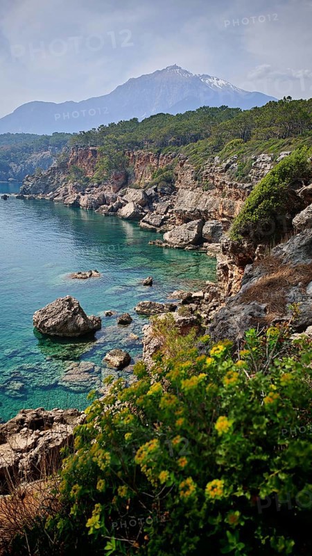 Rocky coast with turquoise water and a snow-capped mountain Tahtali Dagi in the background, surrounded by trees and plants, Lycia, Turkey