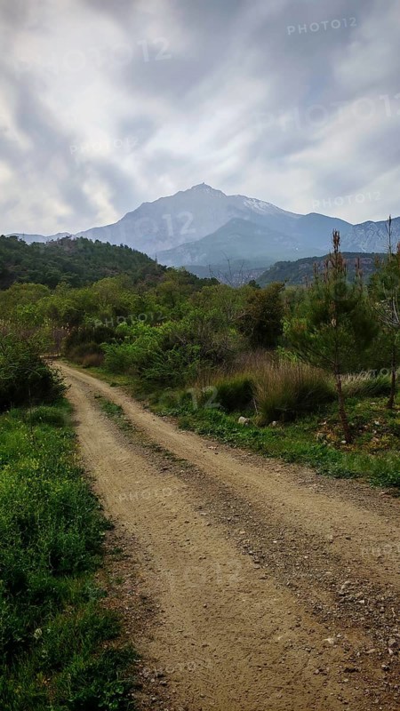 An unpaved trail snakes through a wooded landscape with mountains towards Tahtali Dagi, Lycia, Turkey