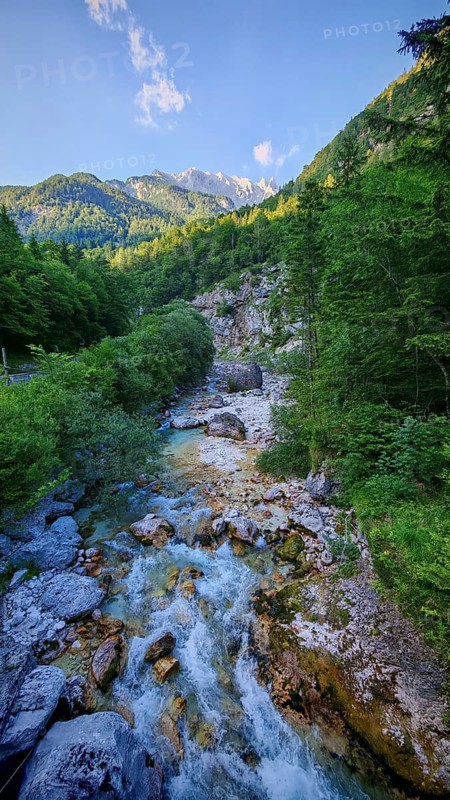 Stream through green forest with mountains in the background, Soca Valley, Slovenia