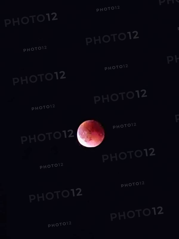 Bright red moon, blood moon, against a dark, almost black night sky, Upper Franconia