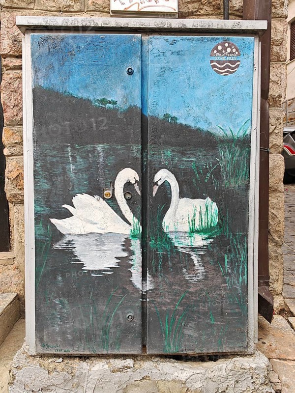 A painting of two swans (cygnus) in the water, natural scenery, Skopje, North Macedonia