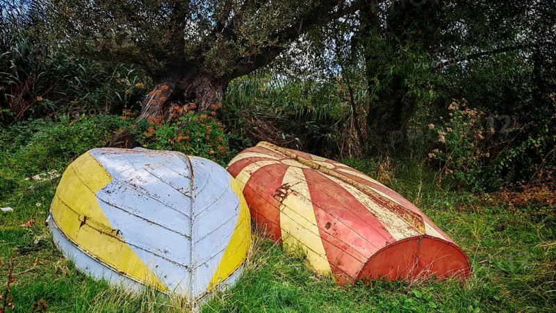 Two old, colorful boats are lying, with the Macedonian flag painted, in a meadow next to a tree, framed by natural vegetation, Ohrid, North Macedonia