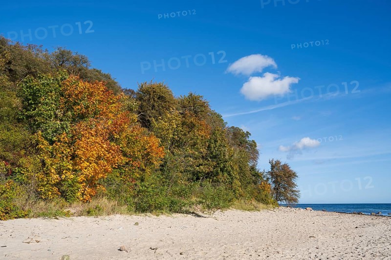 Beach and cliffs, autumn, Lobbe, Mönchgut, Rügen, island, Baltic Sea, Mecklenburg-Western Pomerania, Germany